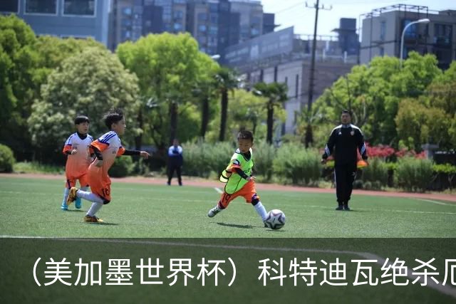 （美加墨世界杯）科特迪瓦绝杀厄瓜多尔 瑞典5:1大胜突尼斯
