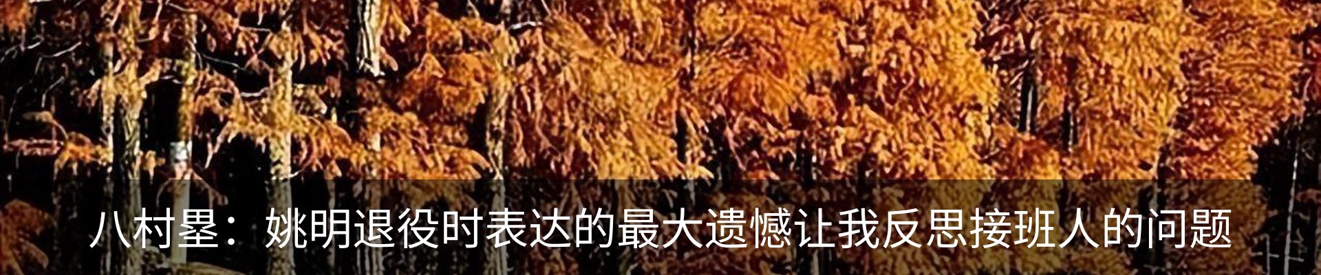 行业资讯